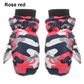 2-5Y-rose