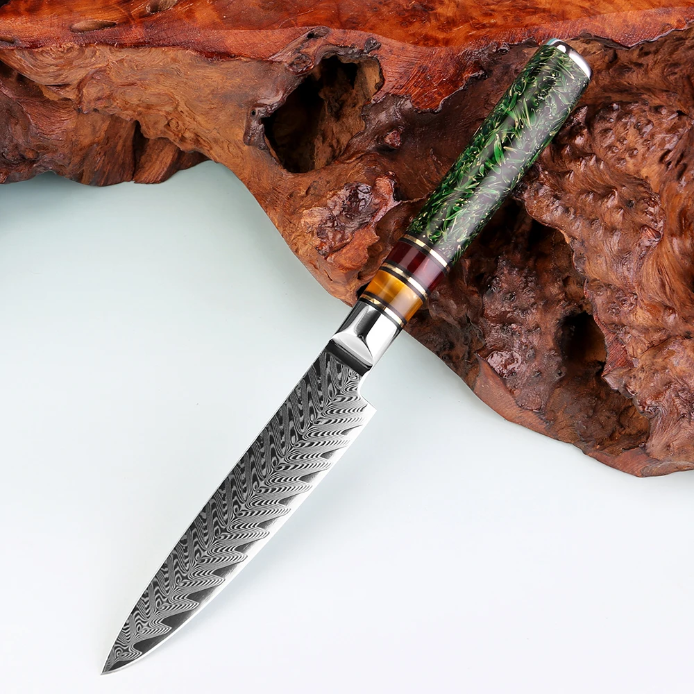 

Japanese 5 Inch Utility Knife, Kitchen Paring Knife Small Chef Knife, Sharp Damascus Steel Fruit Knife, Rice Husk Resin Handle