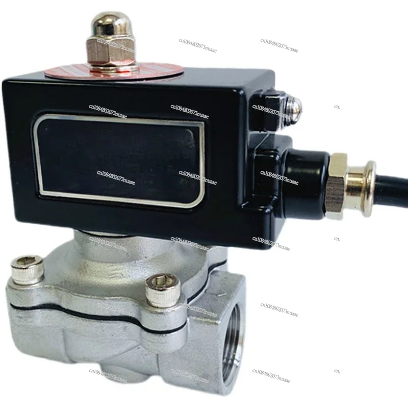 Stainless Steel Normally Closed Explosion-Proof Solenoid Valve, Natural Gas Valve, Chemical Coal Mine Gas Valve