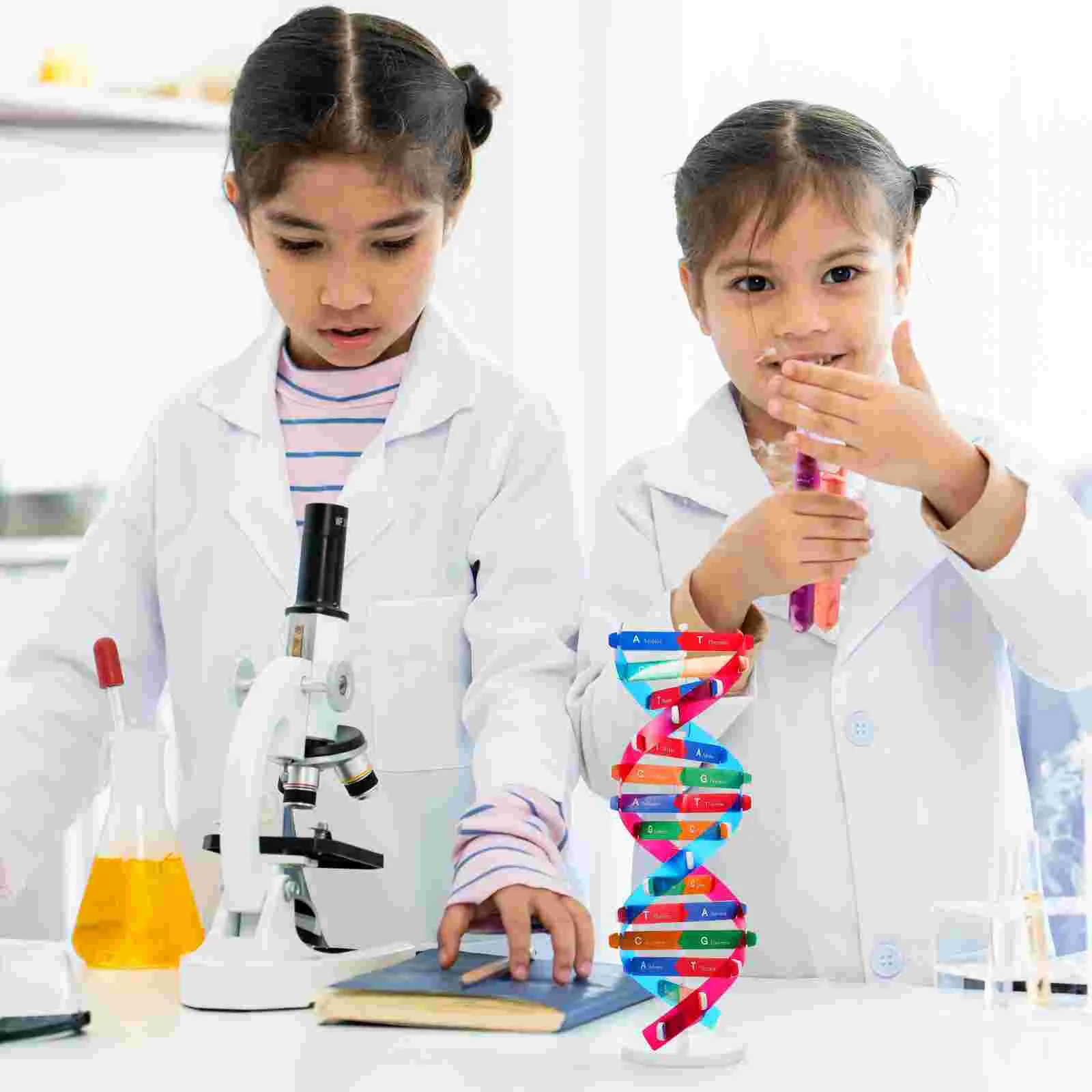 Nuobesty Kids Dna Learning Kit Model Struktur Heliks Ganda Alat Biologi Model Spiral untuk Anyaman Kelas