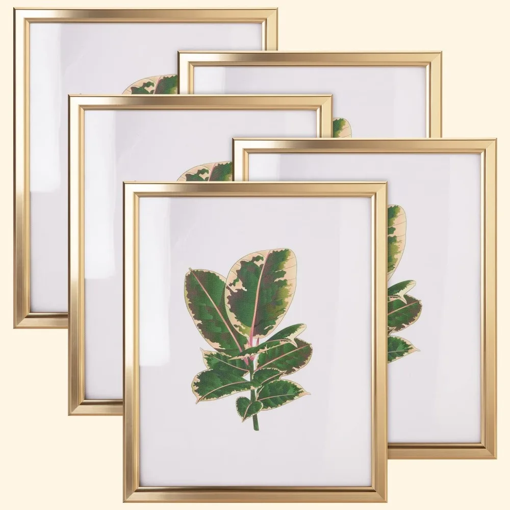 

Set of 5 Matte Gold 8x10 Picture Frames with HD Glass for Tabletop or Gallery Wall
