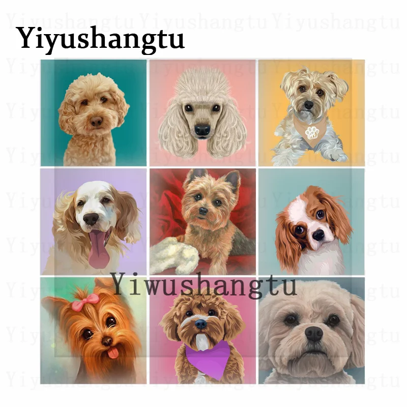 Lovely Different positions Pet dog 12mm/20mm/25mm/30mm Square photo glass cabochon demo flat back Making findings