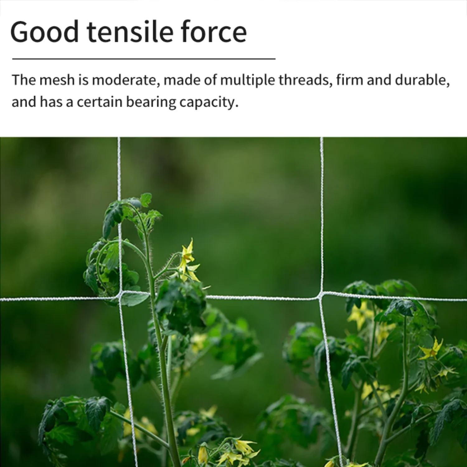 Garden Plants Climbing Net Polyester Net Morning Glory Flower Vine Netting Support Net Grow Net Holder Trellis Netting Multi Use