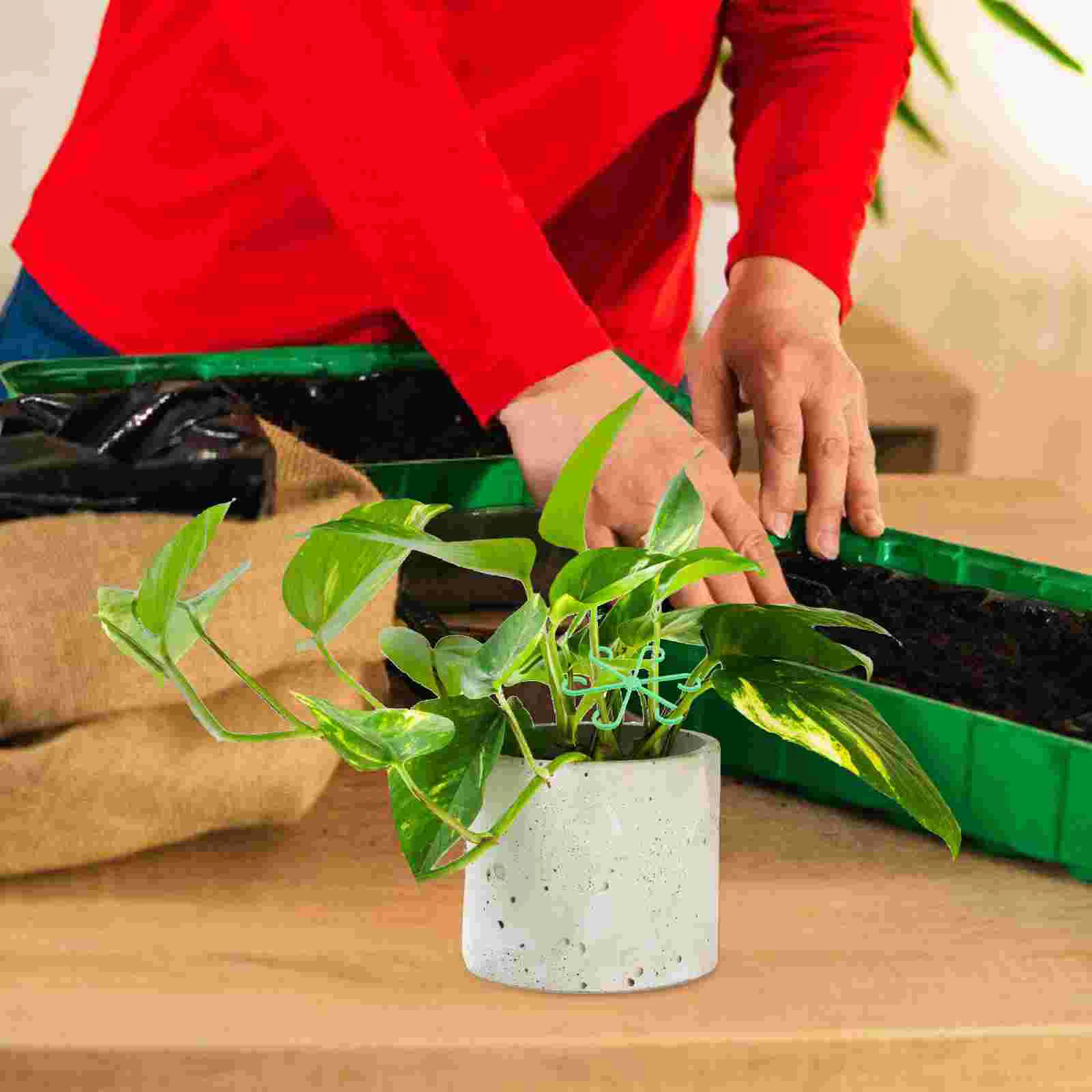 Supports de tige de plante, cadre d'escalade, Clips de plantes, fleurs pour Bouquet d'extérieur