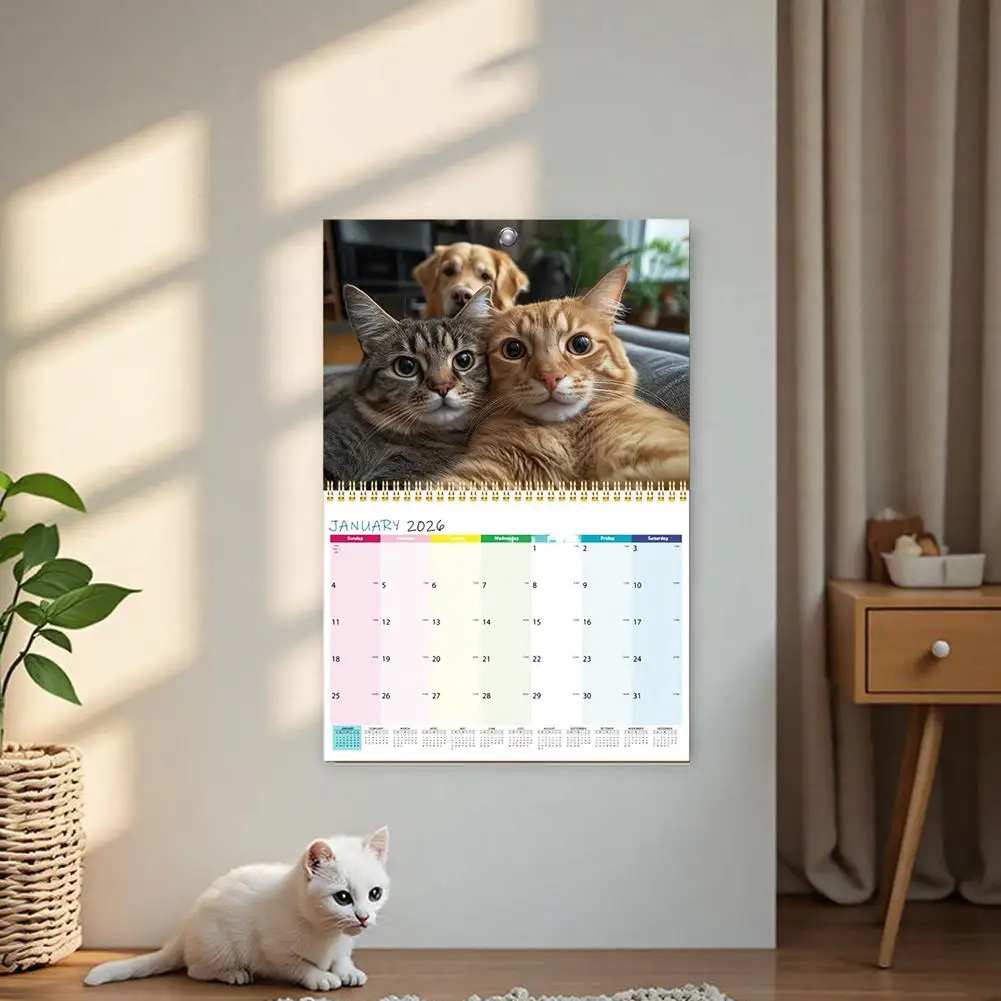 ปฏิทินแมวตลก 2026 ปฏิทินแขวนผนังลายลูกแมวน่ารักรายเดือน กระดาษทนทาน ของขวัญสำหรับคนรักแมว ตกแต่งบ้าน