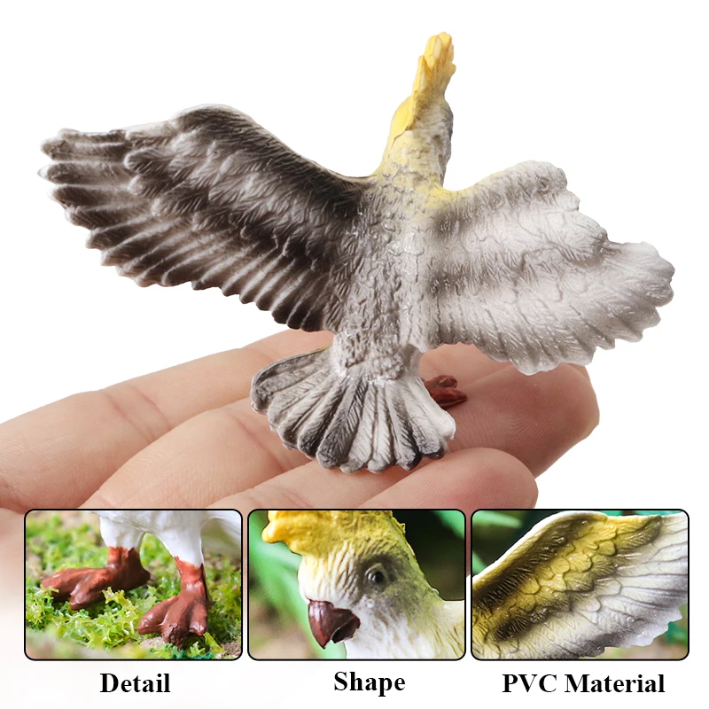 Oenux Bird Animal Parrot Flamingos Hummingbird Owl Magpie Model Action Figure Figurines Miniature Education Kid Toy Cake Toppers