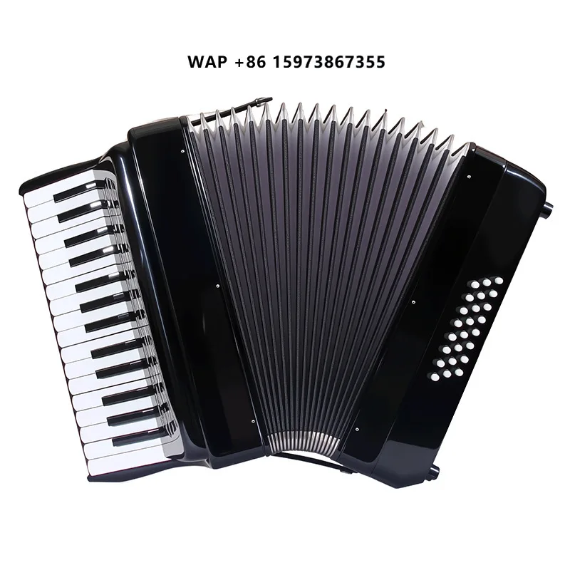 Professional Adult Grade Examination Performance Beginner Keyboard Instrument 30 Keys 24 Bass Accordion