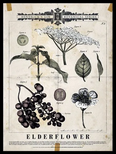 HENDRICKS GIN ELDERFLOWE Letrero metálico retro, póster, placa decorativa para pared de garaje, A4