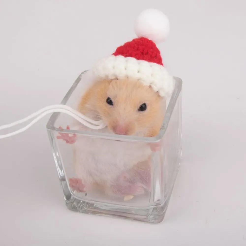 

Portable Cartoon Hamster Hat Soft Adjustable Pet Knitted Hat Handmade Hamster Headwear For Parrot Guinea Pig Hamster