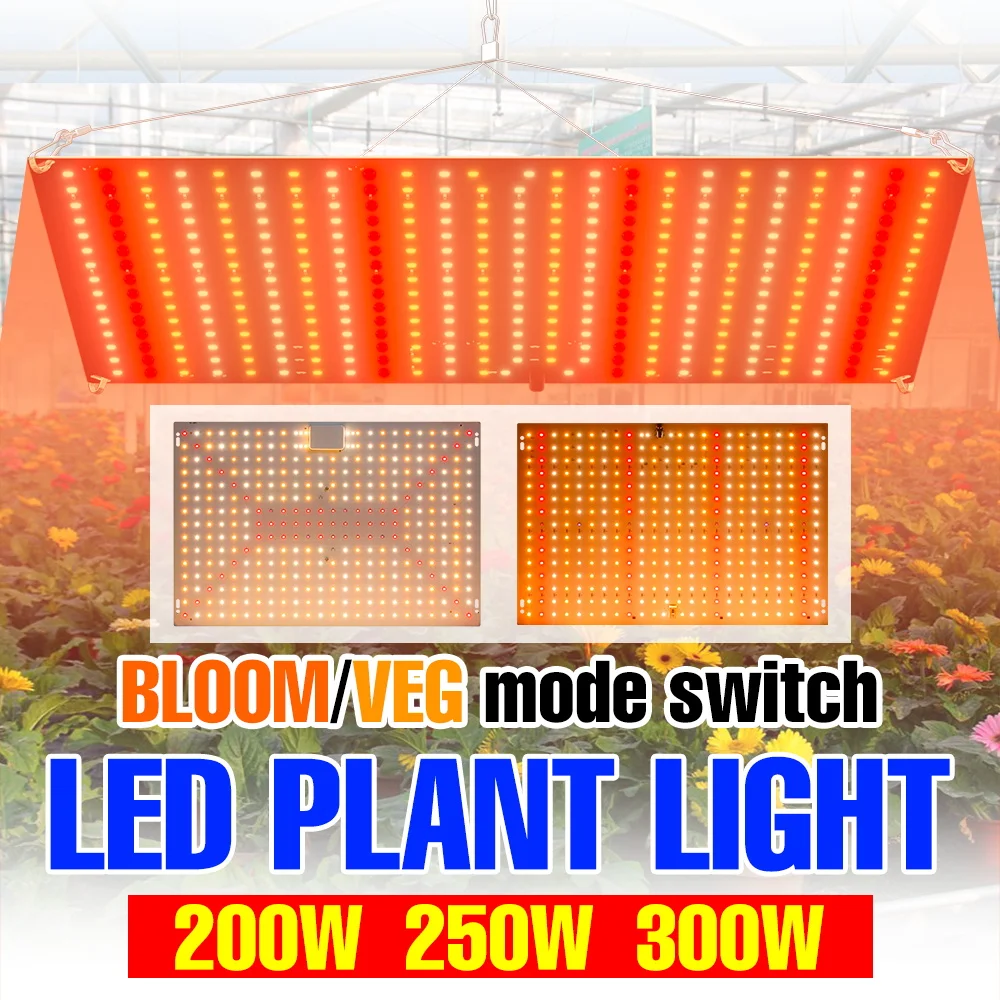 300W Led Full Spect…