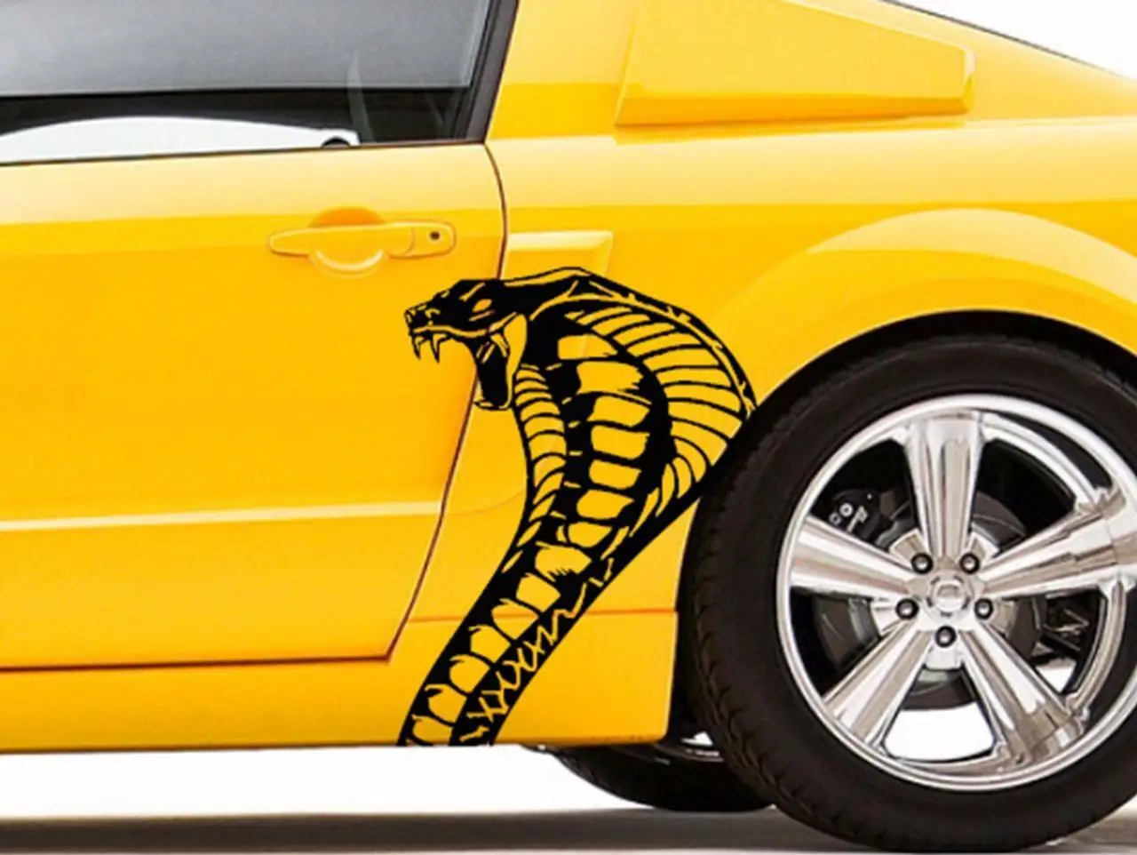 

NEW COBRA SNAKE vinyl Graphics sticker Decal Racing (Fits Ford MUSTANG SHELBY)