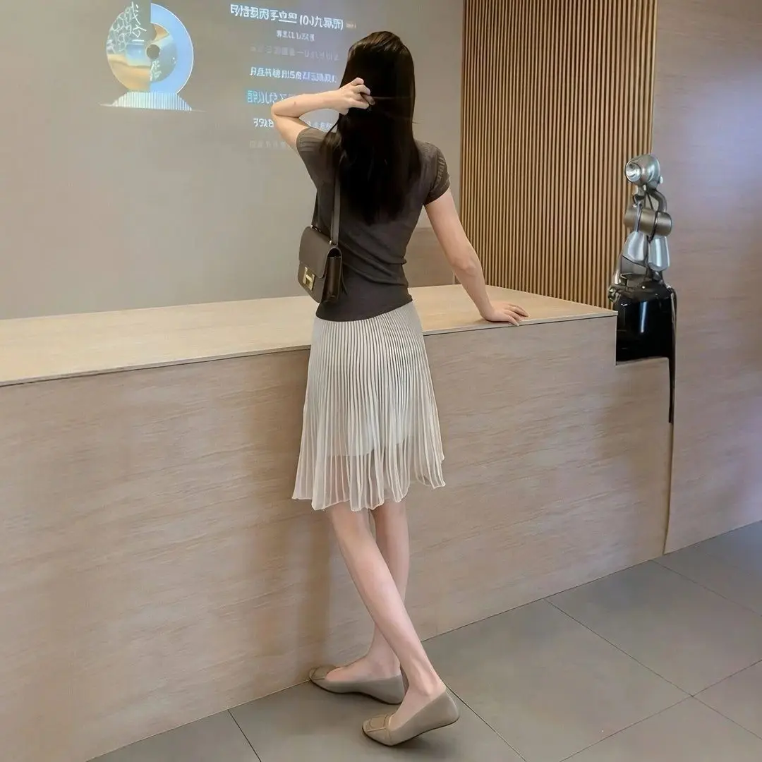 Women Chiffon Pleated Skirts Solid Elegant Elastic Waist Korean with Lining A Line Skirts Ladies Office Skirt Womens Clothing