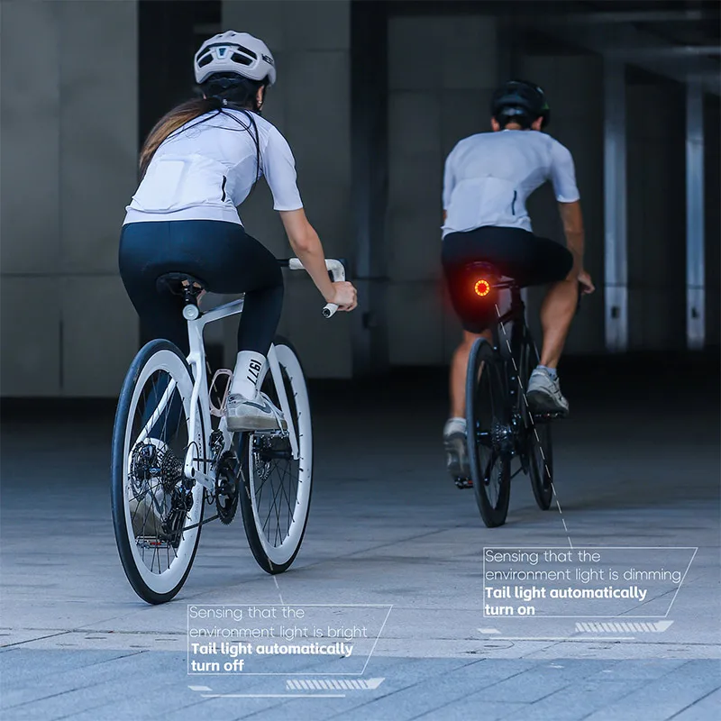 WEST BIKING Tylne światło rowerowe Inteligentny czujnik Tylne światło hamulca Wodoodporne kolorowe światło rowerowe COB Kolarstwo Ostrzeżenie o bezpieczeństwie Tylne światło