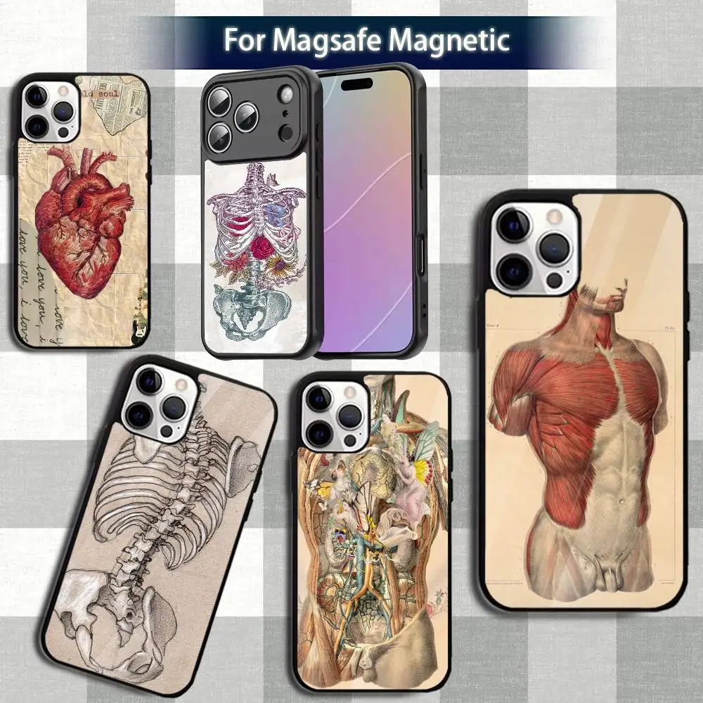

Anatomy HumanS M-MedicalS Phone Case For iPhone 13,12,15,17,11,16,14,Pro,Max,Plus,Mini,Magsafe,Magnetic Wireless Charging Case
