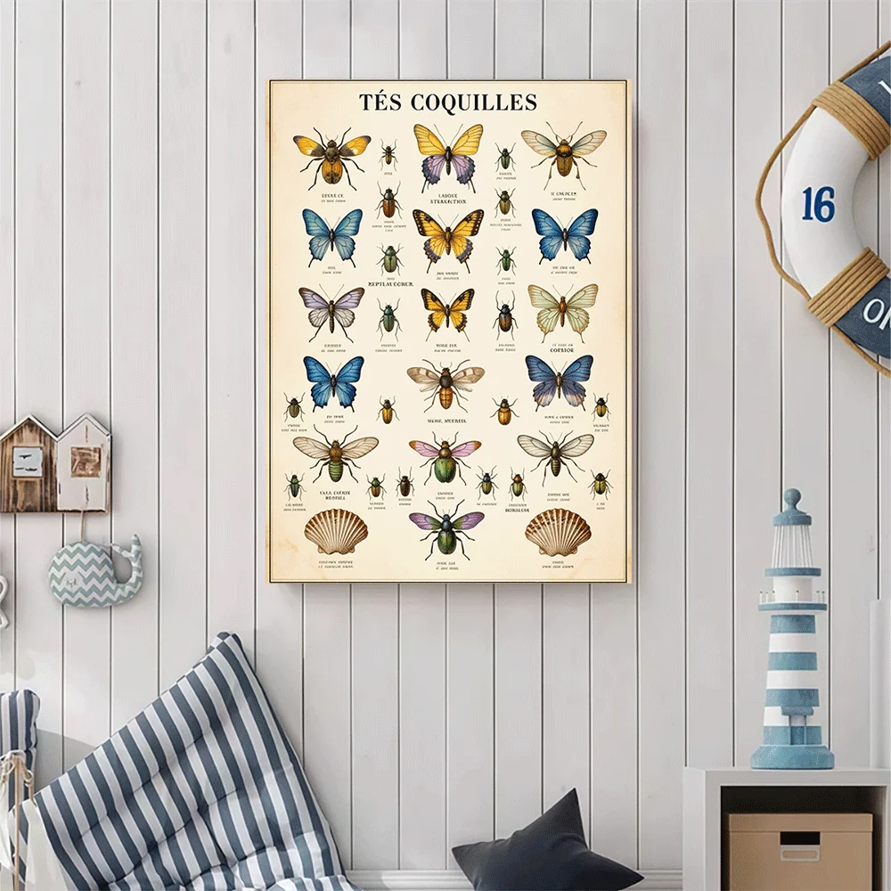 1PC-Canvas poster Unframed  Vintage Insect Art Print Butterfly Beetle Moth Shell Wall Decor Nature Poster  summer