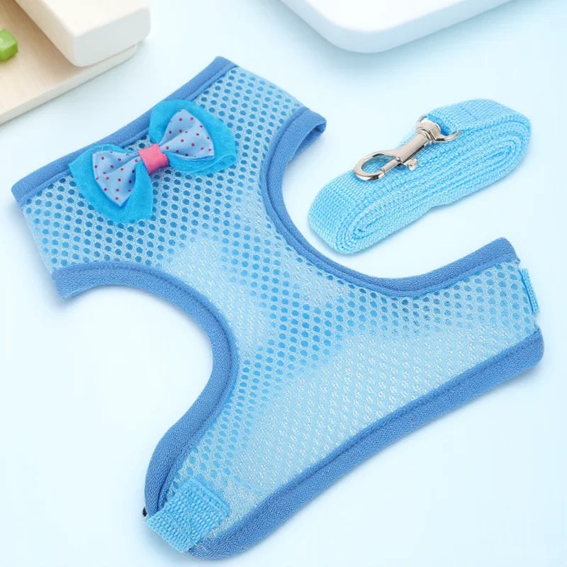 

1 set Pet Hen Leash Durable Rooster Harness Adorable Chicken Costume Hen Walking Traction Rope Outdoor Pet Rooster Traction