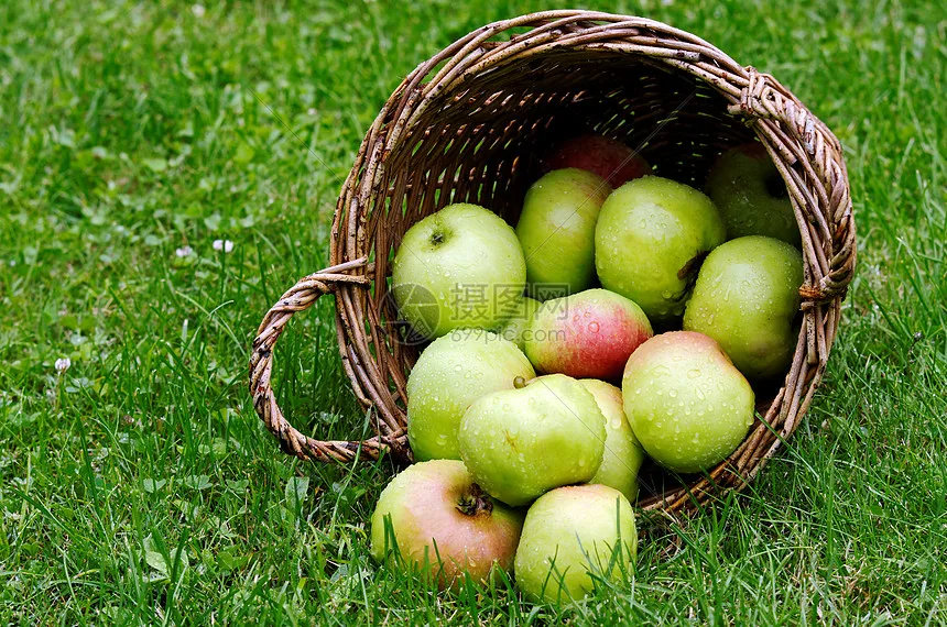 

RC Part 65mm Wheel Tyres Tires 12mm Hex Rim Durable Rubber for 1/10 1/12 1/14 RC Car Racing Competitable Wltoys 144001