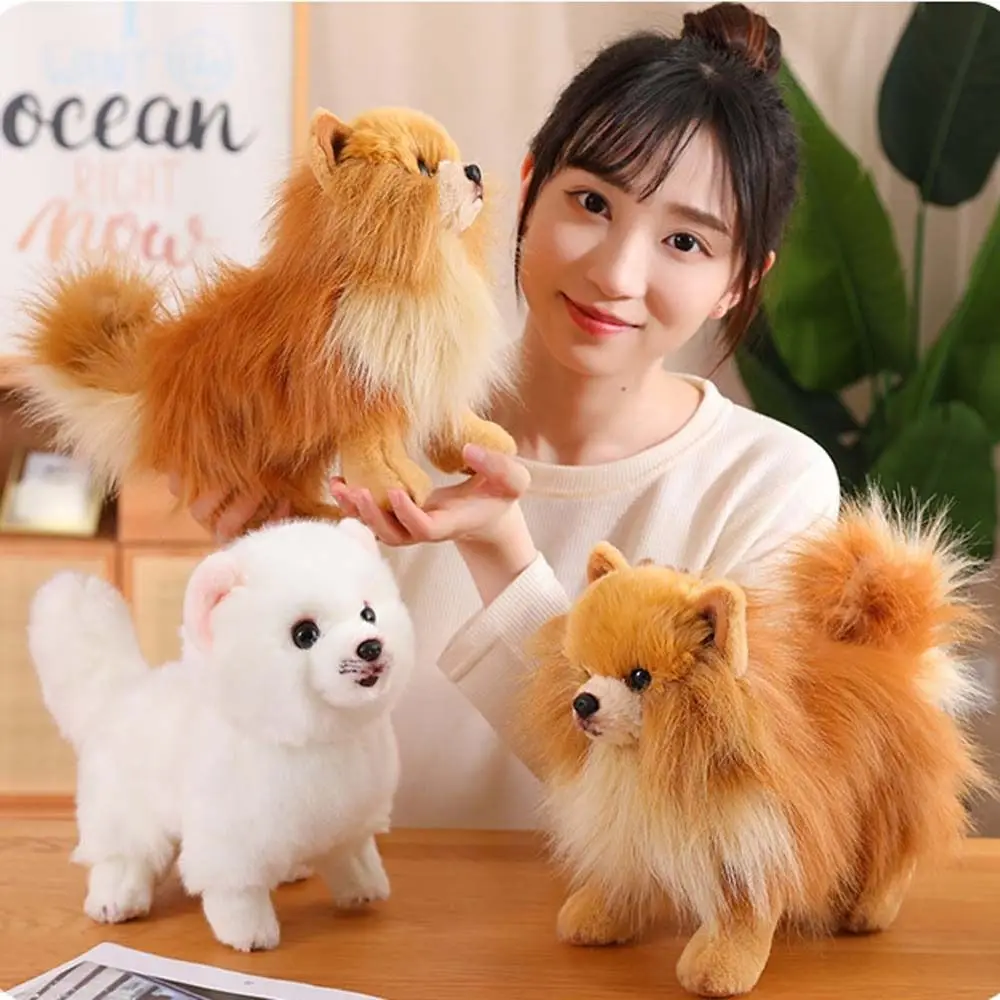 ยืน Pomeranian Plush ของเล่นชีวิตจริงสัตว์เลี้ยงตุ๊กตาจําลอง Pomeranian สุนัขตุ๊กตาสัตว์ตกแต่งบ้านตุ๊กตาลูกสุนัขตุ๊กตา