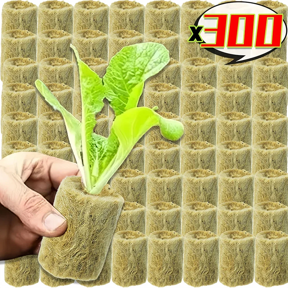 300/10pcs Stonewool Cubes Planting Sponge Stone Seedling Grow Plug Hydroponic Soilless Substrate Seeded Block for Home Balcony