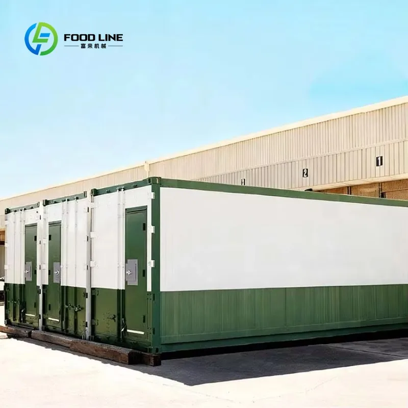 Customized 40HQ Commercial Hydroponic Shipping Container Plant Factory Indoor Farm For Green Grass Fodder