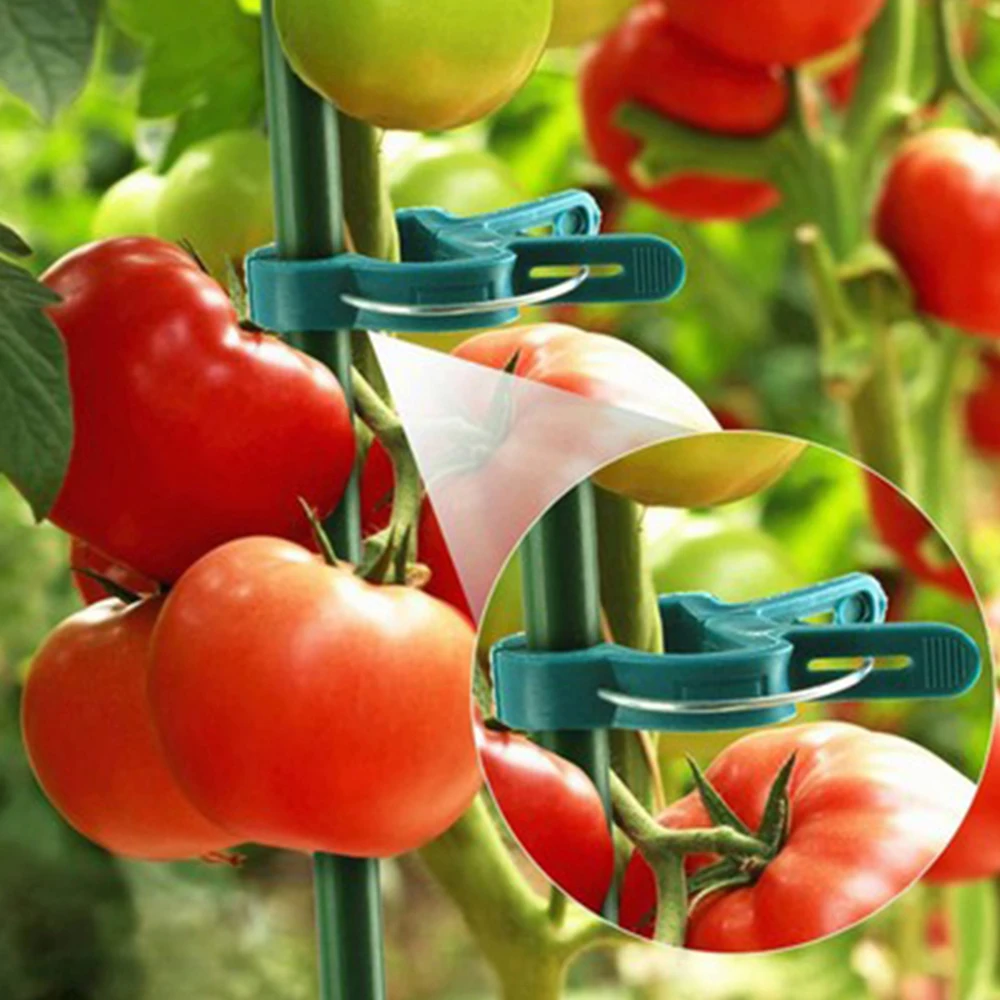 40pcs Garden Plant Fixed Clips for Vegetables Flowers Stem Vines Grape Clamp Support Straighten Stems Swallow Clip