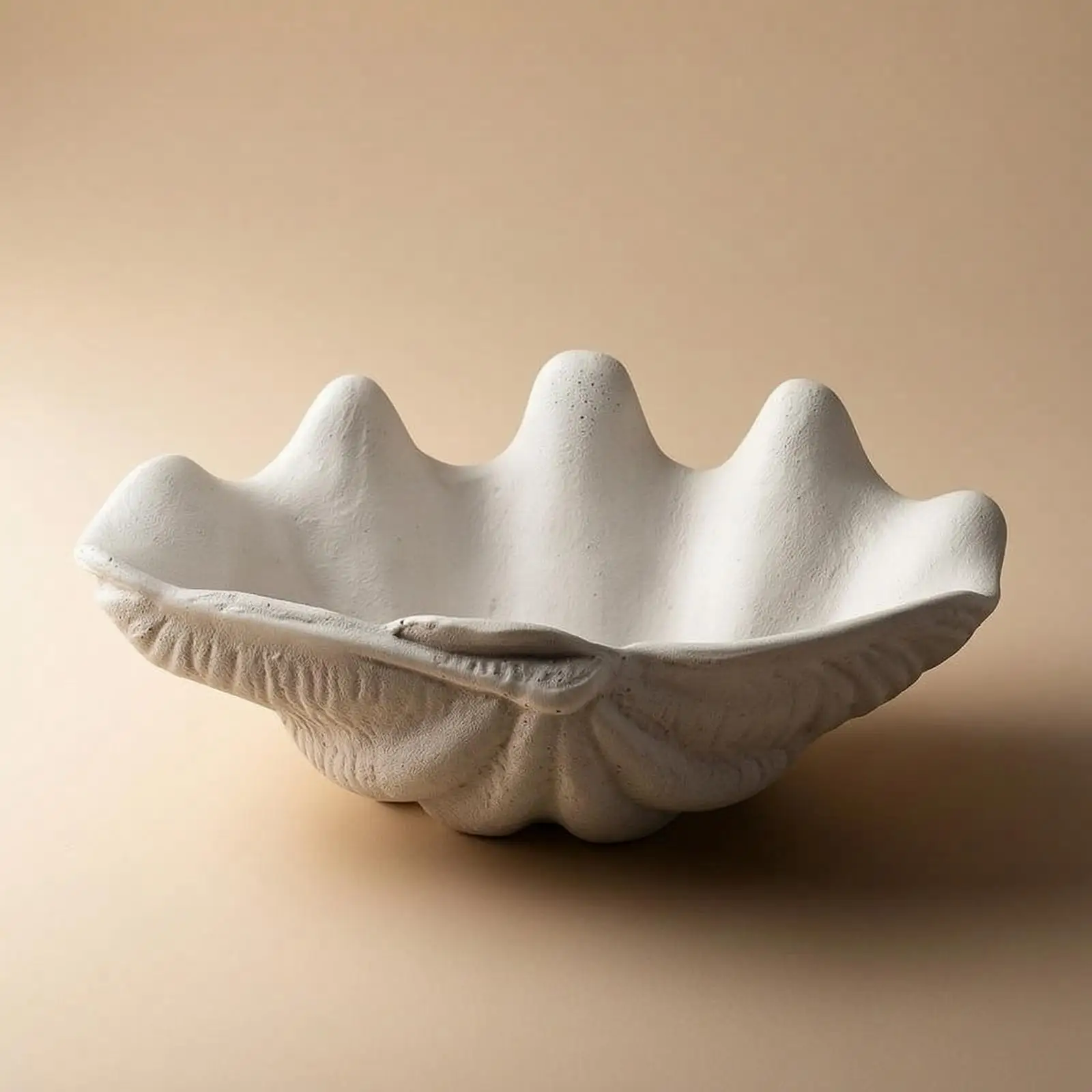 Shell Tray Sculptural Fruit Tray Matte Bowl for Living Room, Entryway, Reception Area