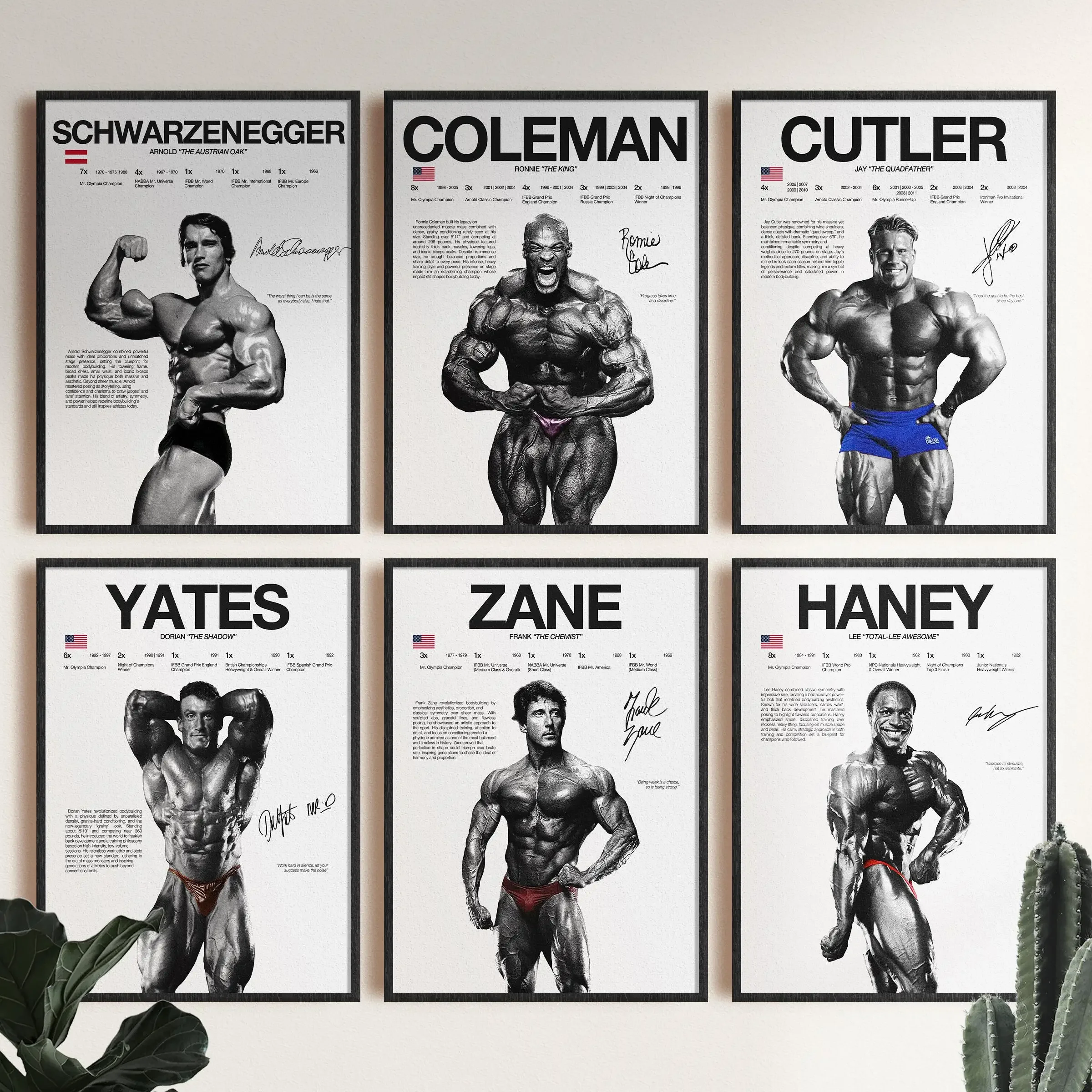Póster De leyenda De culturismo Mr. Olympia, impresión artística, pintura en lienzo De culturismo, estudio motivacional moderno, gimnasio, estética, hogar