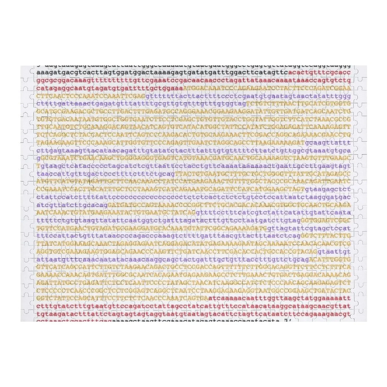 Genome ATGC DNA base pairs genes Jigsaw Puzzle Wooden Compositions For Children With Photo Puzzle