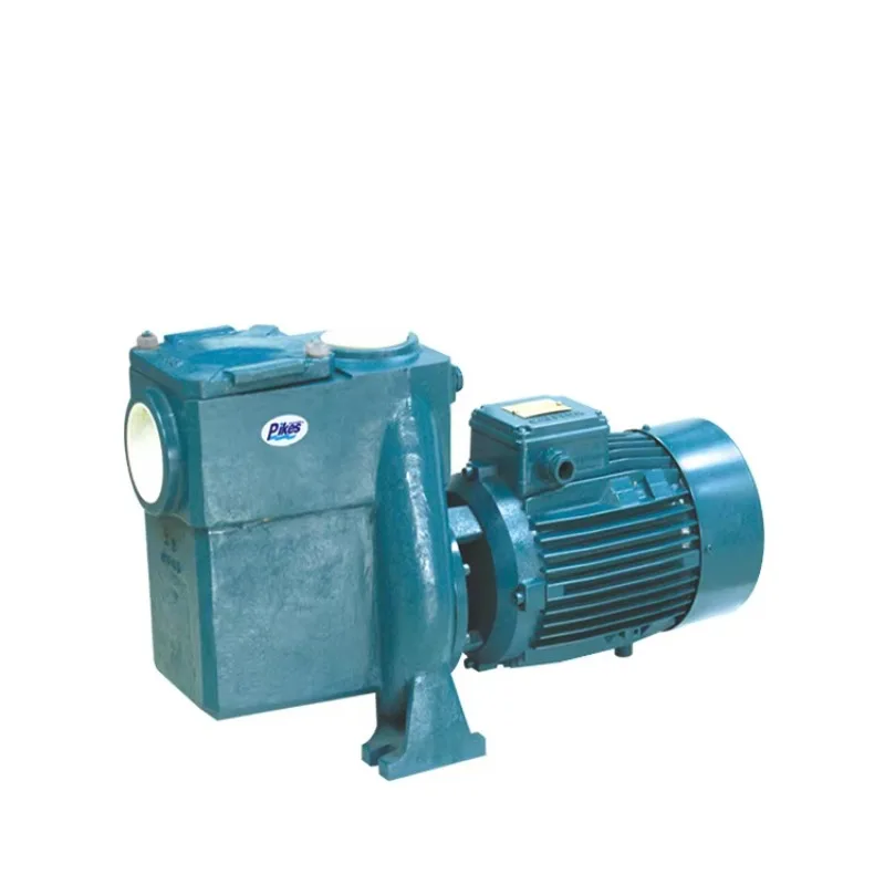 2024 PIKES Pompa Air Bahan Hebat Kolam Renang Seri RTS Filter Pompa Kolam Laju Aliran Tinggi