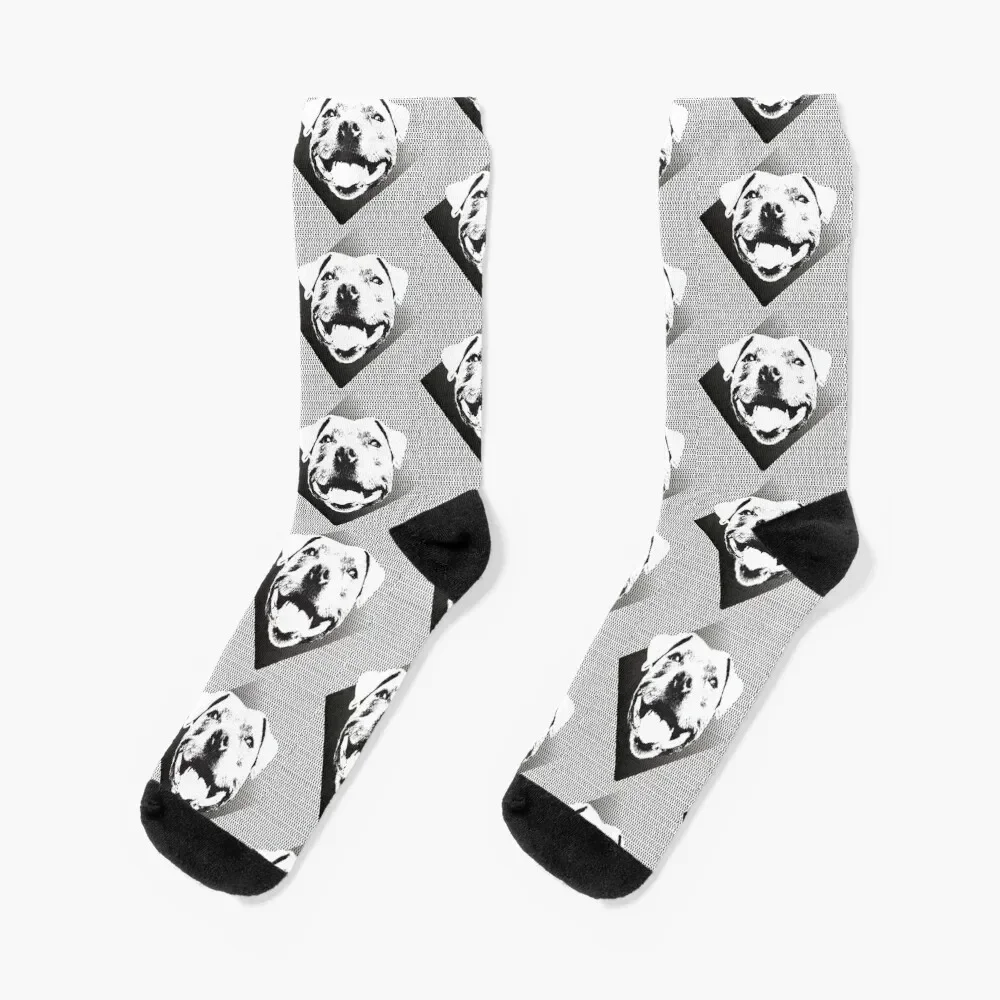 That Staffy Smile Socks floral gym retro Stockings compression Socks Girl Men's