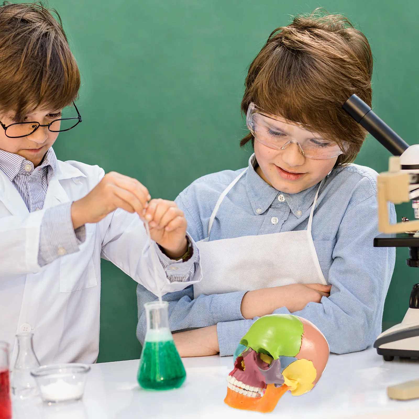 colored-pvc-medical-anatomical-skull-human-head-anatomy-teaching-aid-school-hospital-educational-skull-ornament