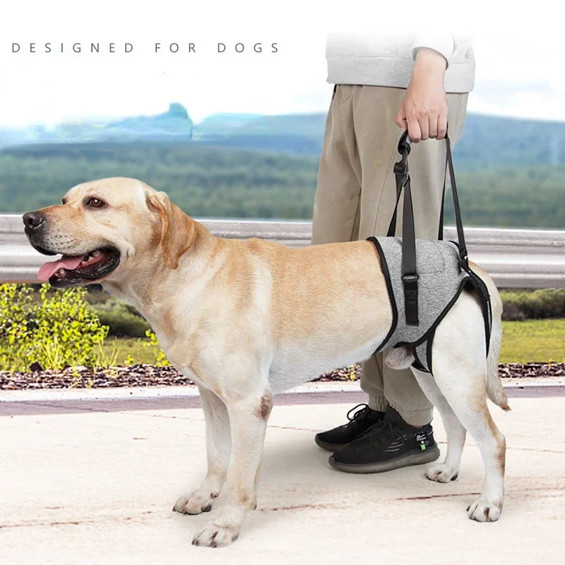 

Free shipping Adjustable Dog Lift Harness for Large Dogs Soft Padded Pet Rear Leg Support for Old Disabled Joint Injuries Dog