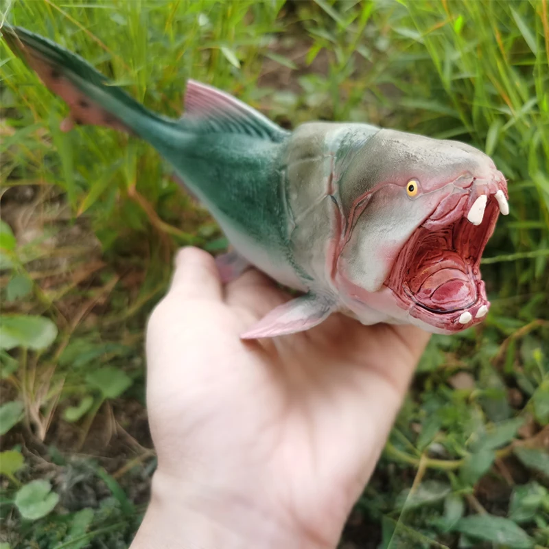 โมเดลสัตว์ทะเลน้ำตื้นสมจริง สำหรับตกแต่งบ้าน ของเล่นเสริมพัฒนาการเด็ก ของสะสม