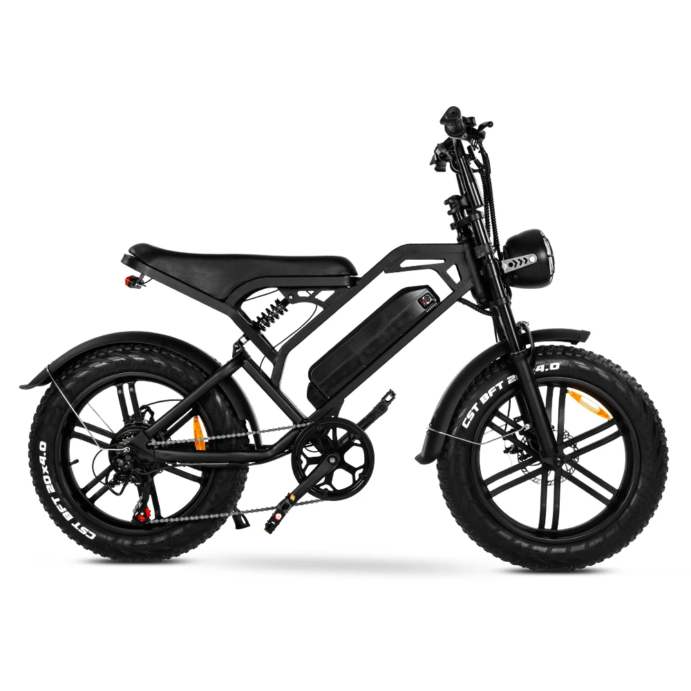 Bicicleta Elétrica com Pneu Gordo para Adultos, E-Bike, 1000W, 250W, EUA e UE, Fatbike Híbrida, Armazém Pronto Stock, 25 kmph, 48V