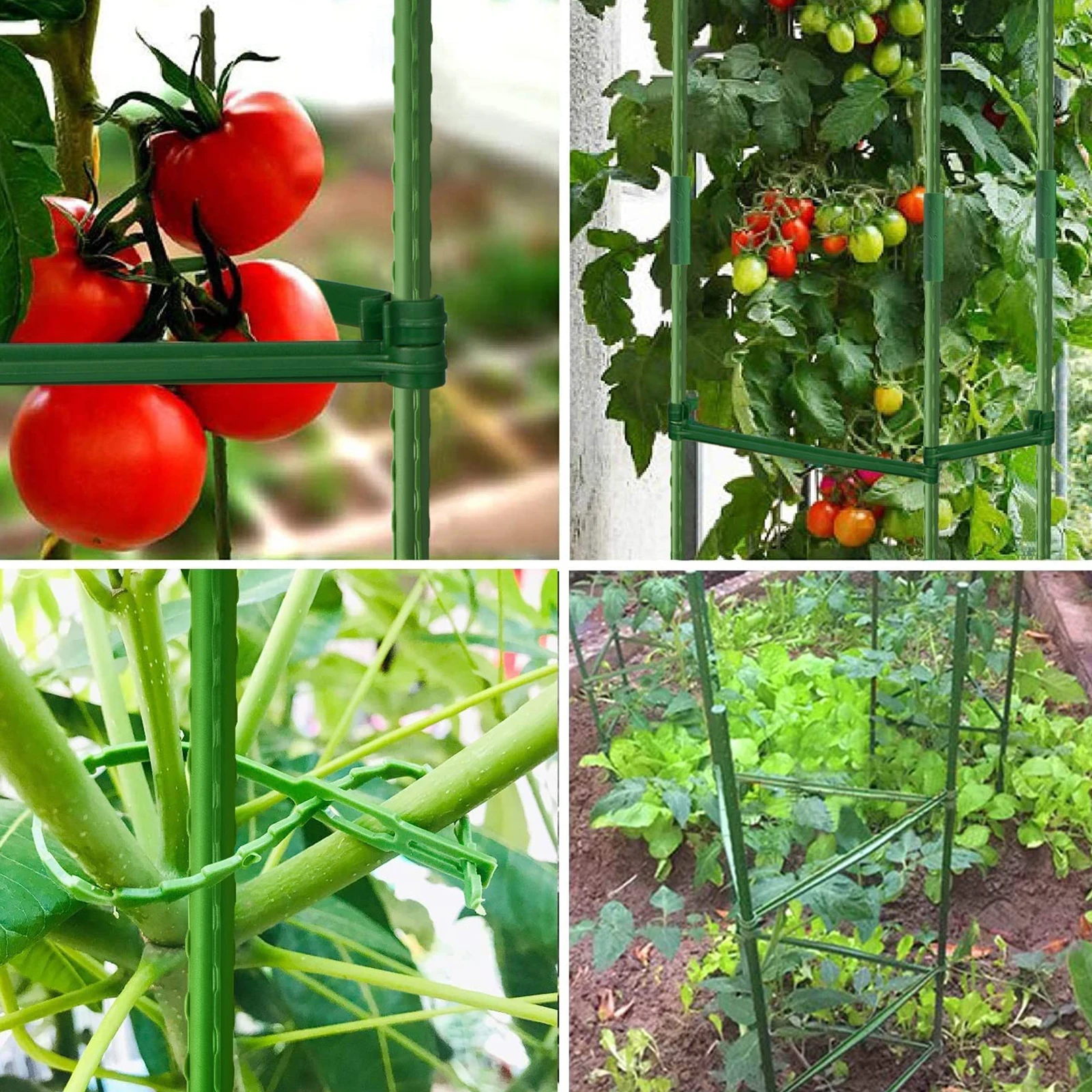 Tomato Cages Plants Support Stakes 4 Feet High Adjustable Assembled Vertical Climbing Plants Vegetable Trellis Garden Supplies