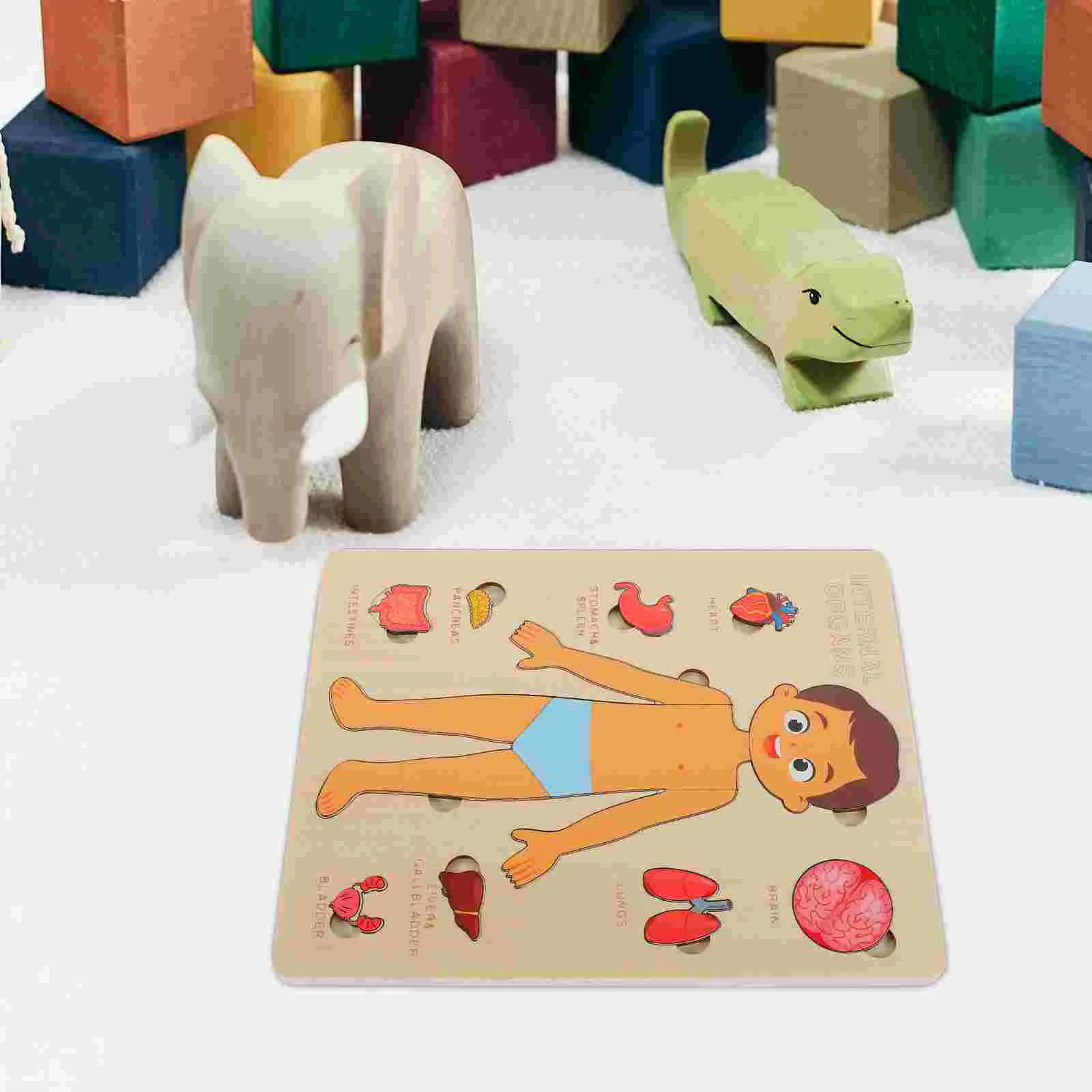 1 Set Human Body Structure Puzzle Toy Early Education Teaching Anatomy Model Wooden Puzzle Kids Learning Tool Educational