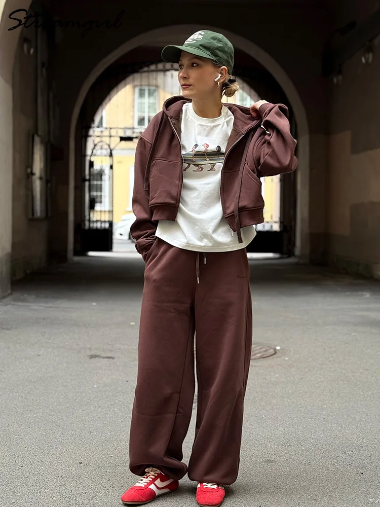 النساء رياضية الشتاء الصوف Sweatsuit البني الدافئة المحاصيل سستة هوديس و Sweatpants مجموعة للنساء 2 قطعة المخملية السراويل مجموعات