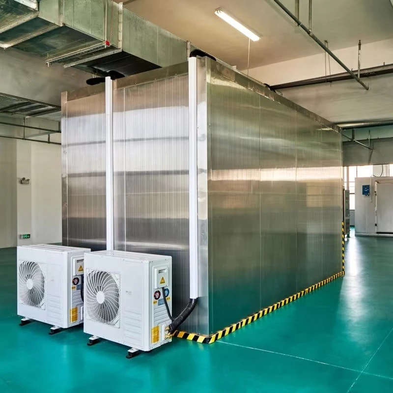 Stainless Steel Walk in Cold Room Custom Made Refrigeration Storage Fast Cooling Low Noise for Food Factory Custom