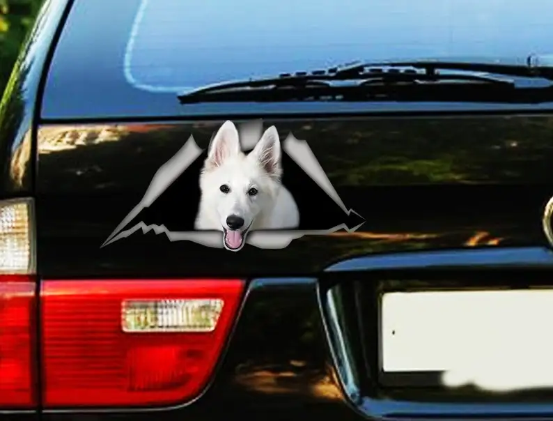 White Swiss Shepherd sticker , torn metal sticker, Swiss Shepherd decal, 3D sticker