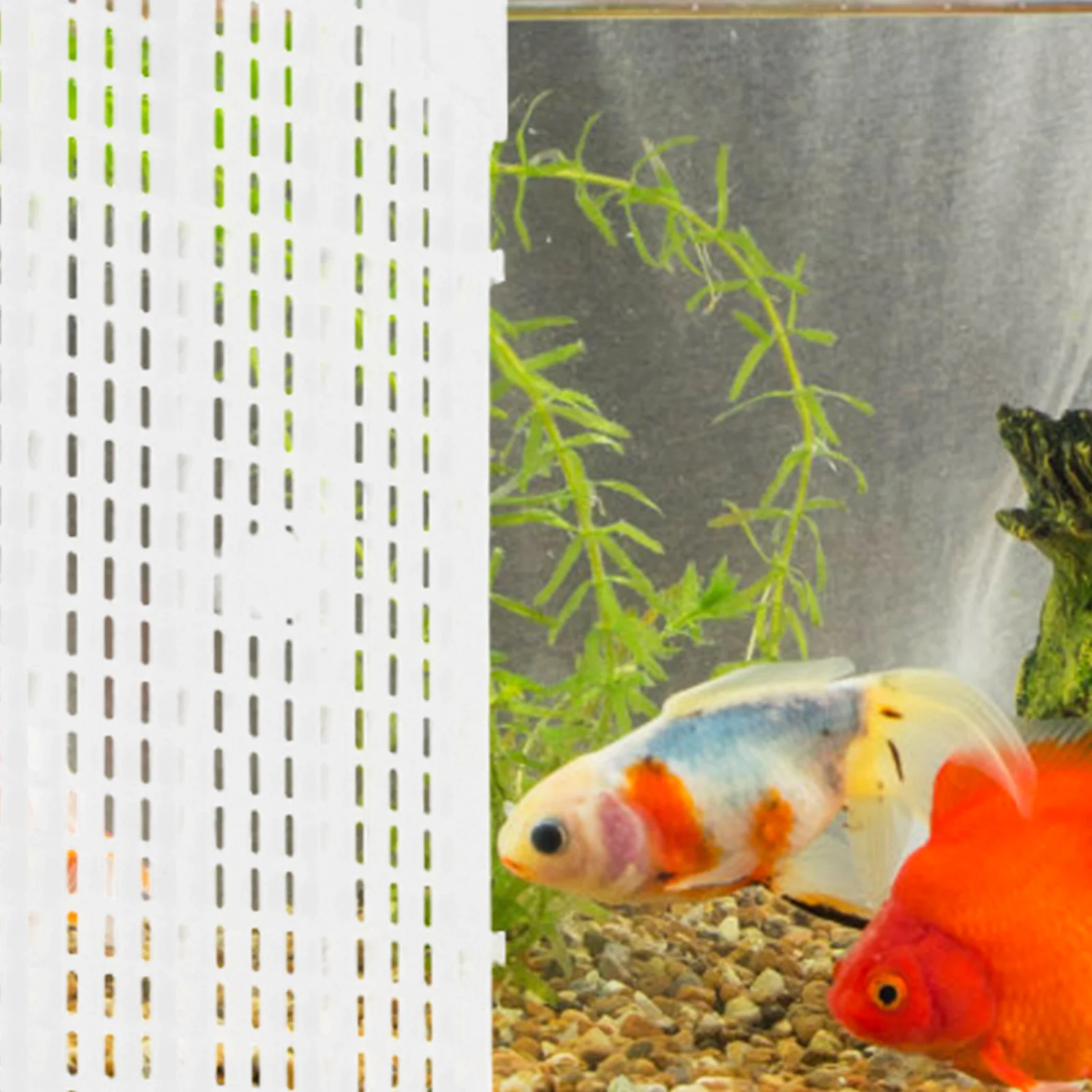 

4 Pcs Fish Tank Isolation Board Divider Adjustable Aquarium Grid Tray Large Separator for Pp Dividers Betta