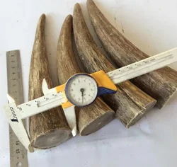 Large Solid White Flower Yak Skull Tip Knife Handle, Raw Material, Diameter4cm or more Length 18cm