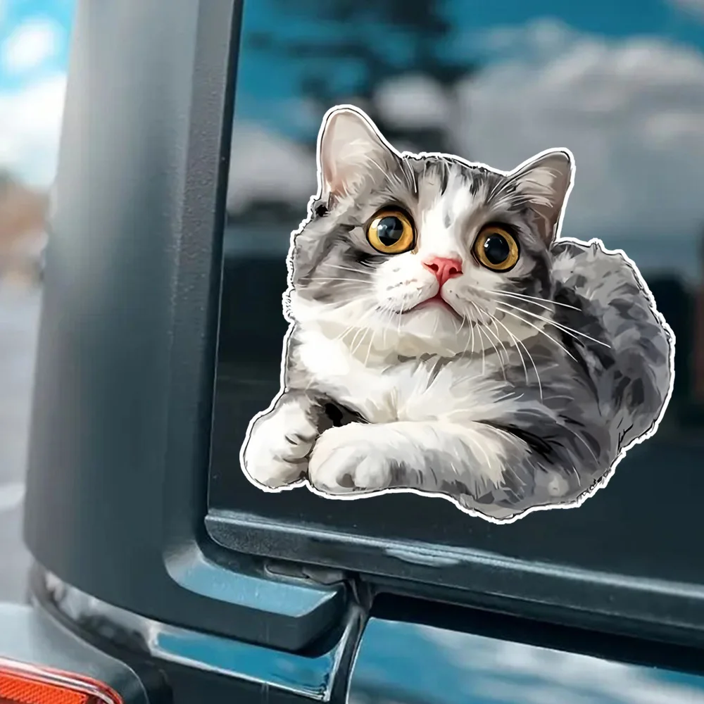 

12x11.5cm Cute Gray White Cat Car Stickers, Suitable for Car, Laptop, Truck, Motorcycle, Window, Wall, Luggage Decals