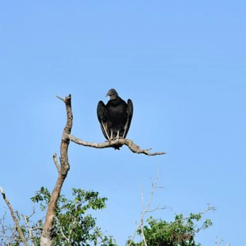 

4 шт. 1/10 65 мм металлический обод колеса 12 мм шестигранный для Tamiya TT01 TT02 TT02B TA06 XV01 XV02 PTG-2 1/10 детали для обновления гоночного автомобиля на радиоуправлении