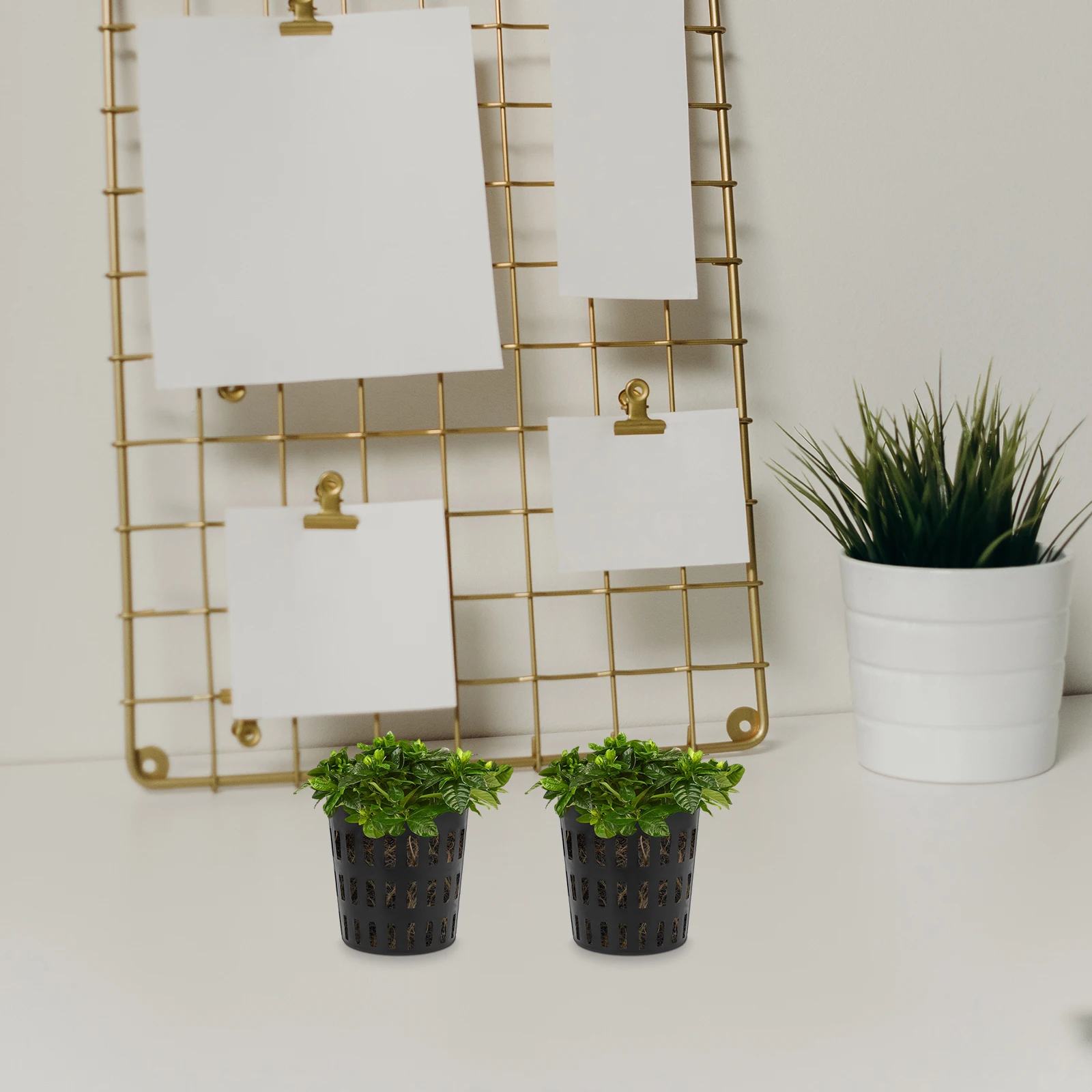 

10pcs Hydroponic Net Pots Plant Mesh Cups Aquatic Garden Containers Baskets Strainer Plastic Material Easy Root Growth Moisture