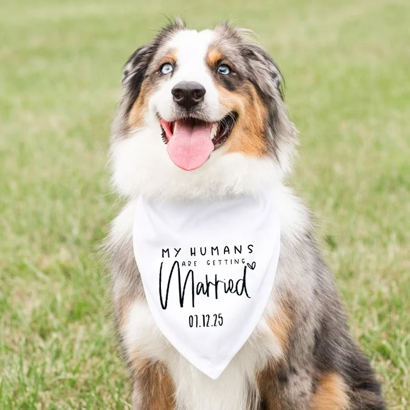 

Personalized Date My Humans Are Getting Married Tie-On Dog Bandana Wedding Announcement Pet Scarf Engagement decorate Accessory