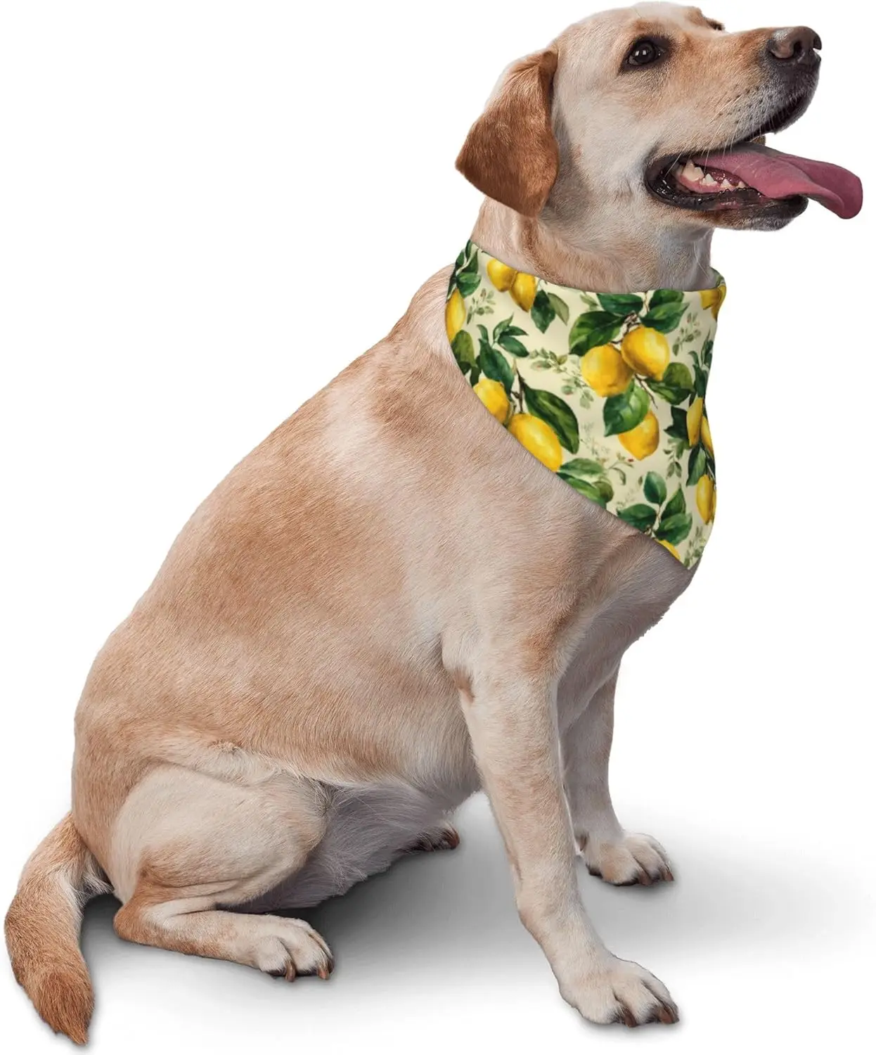Yellow Lemon Leaves for Dog Bandanas Adjustable Dog Scarf for Boy and Girl Pet Bandana Triangle 1PCS Pet Scarf view 3