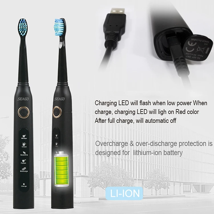 Seago Sonic Electric Toothbrush USB Rechargeable Brushes Waterproof Soft Bristles Teeth Whitening Smart Timer Adult Oral Health