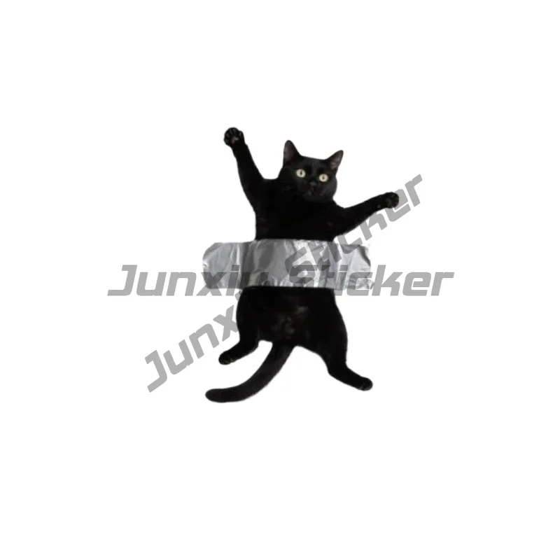 

JDM Effect Funny Black Cat Motorcycle Stickers Waterproof for Motorbike Fuel Tank Scooter Body Vinyl Decals Decoration