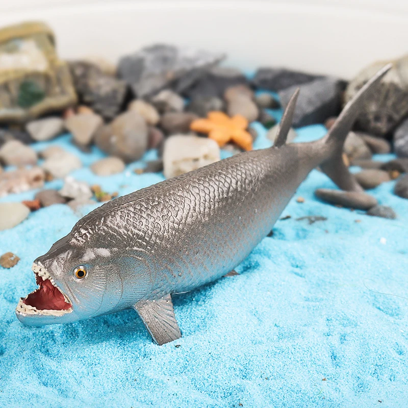 Oenux Sealife Tiere Actionfiguren Ozean Fisch Lachs Thunfisch Modell Figuren Mini PVC Schule Projekt Kid Collection Bildung Spielzeug – Detail 8