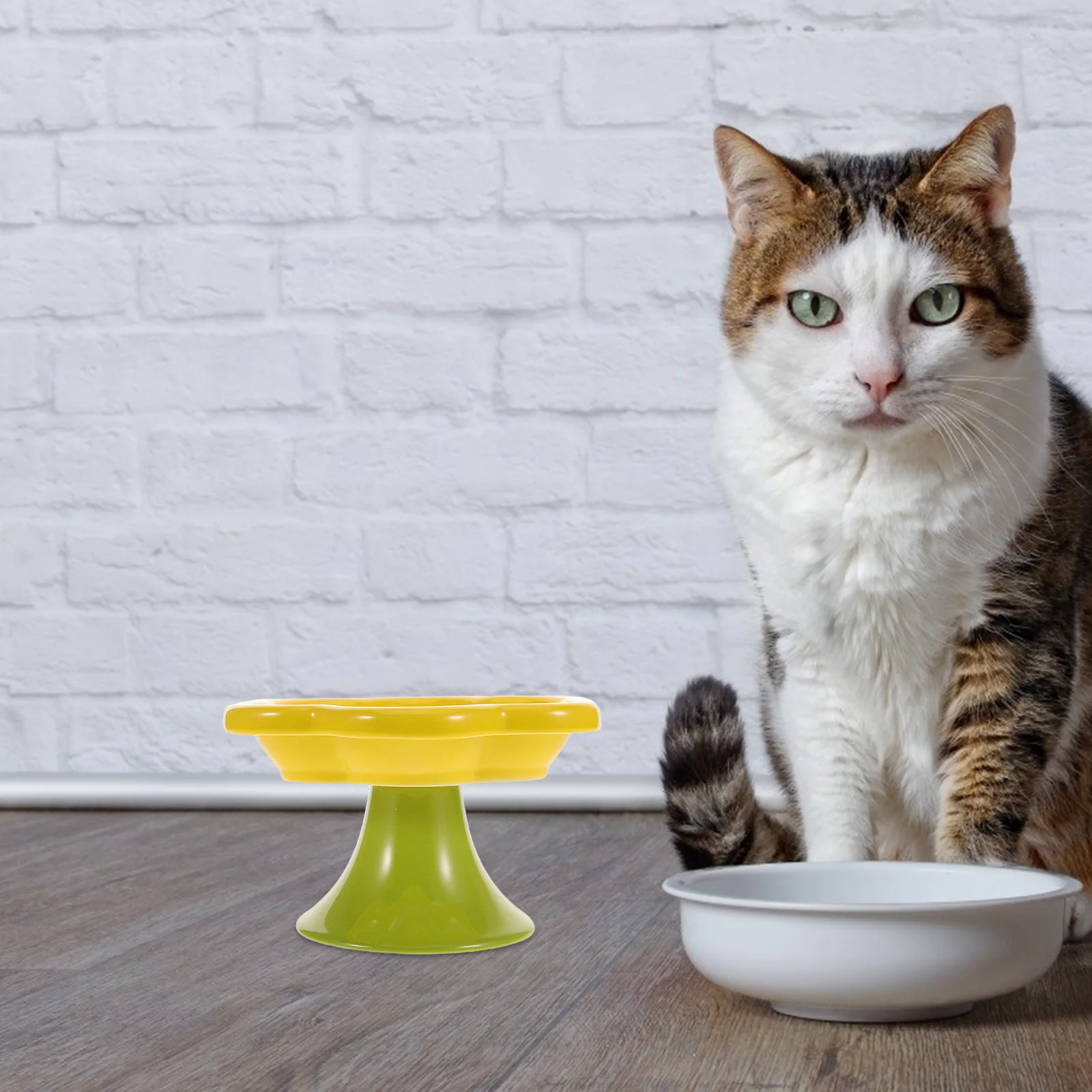 

Ceramic Raised Cat Bowl Elevated Flower Shape Ergonomic Feeding Bowl for Cats Kittens Water Food Feeding Dish Pets Cats Bowls